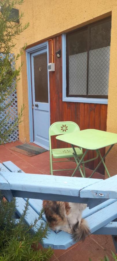 Cabañas Aire Marino Algarrobo Exterior foto
