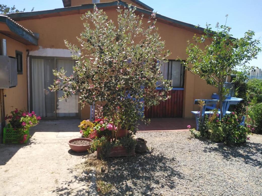 Cabañas Aire Marino Algarrobo Exterior foto